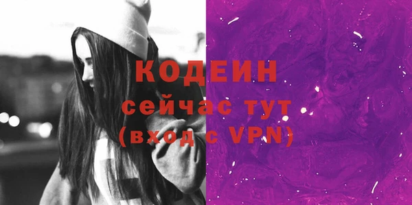 крисы Абаза