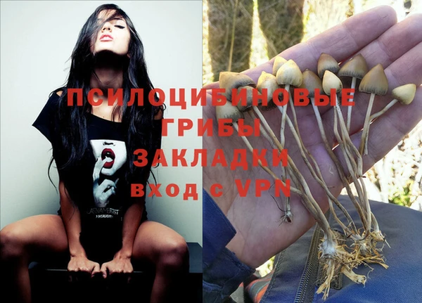 метадон Абинск