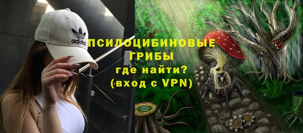 крисы Абаза