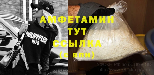 крисы Абаза
