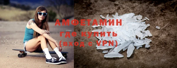 крисы Абаза