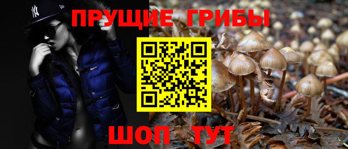 Галлюциногенные грибы Magic Shrooms  купить наркоту  Таганрог  Вход с VPN  Галлюциногенные грибы мицелий 