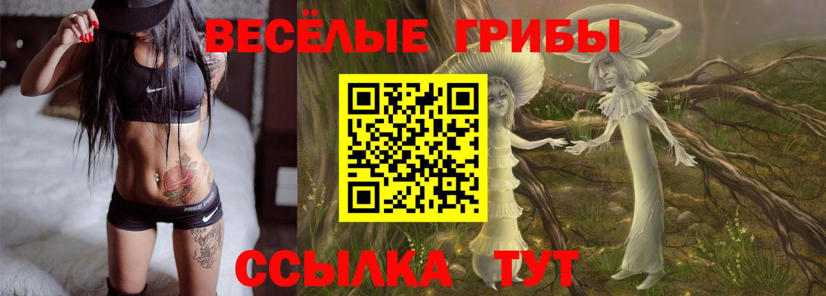 Псилоцибиновые грибы MAGIC MUSHROOMS Таганрог